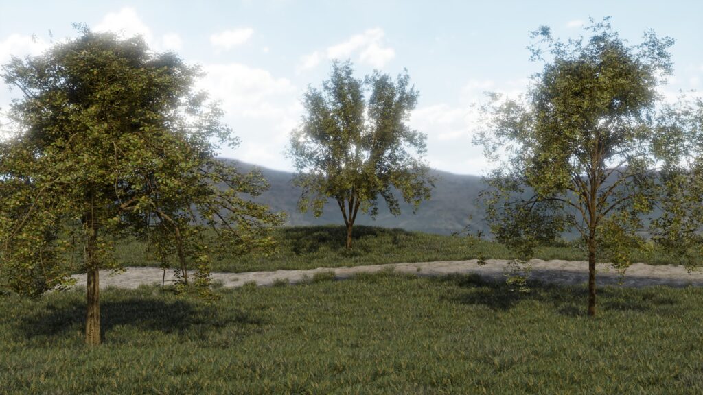 Three trees as examples built using the sapling tree-gen add-on. They are modeled after birch trees.